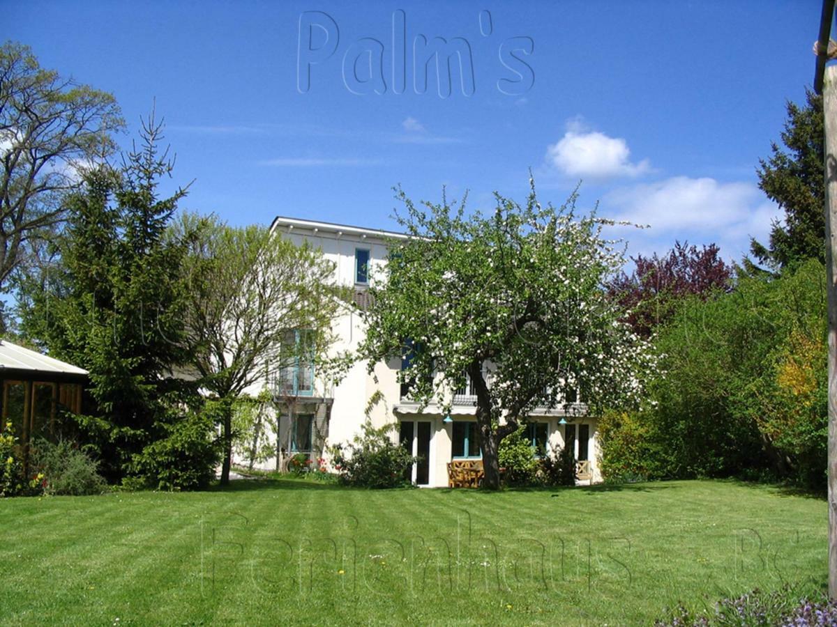 Palms Ferienhaus Klutz Εξωτερικό φωτογραφία